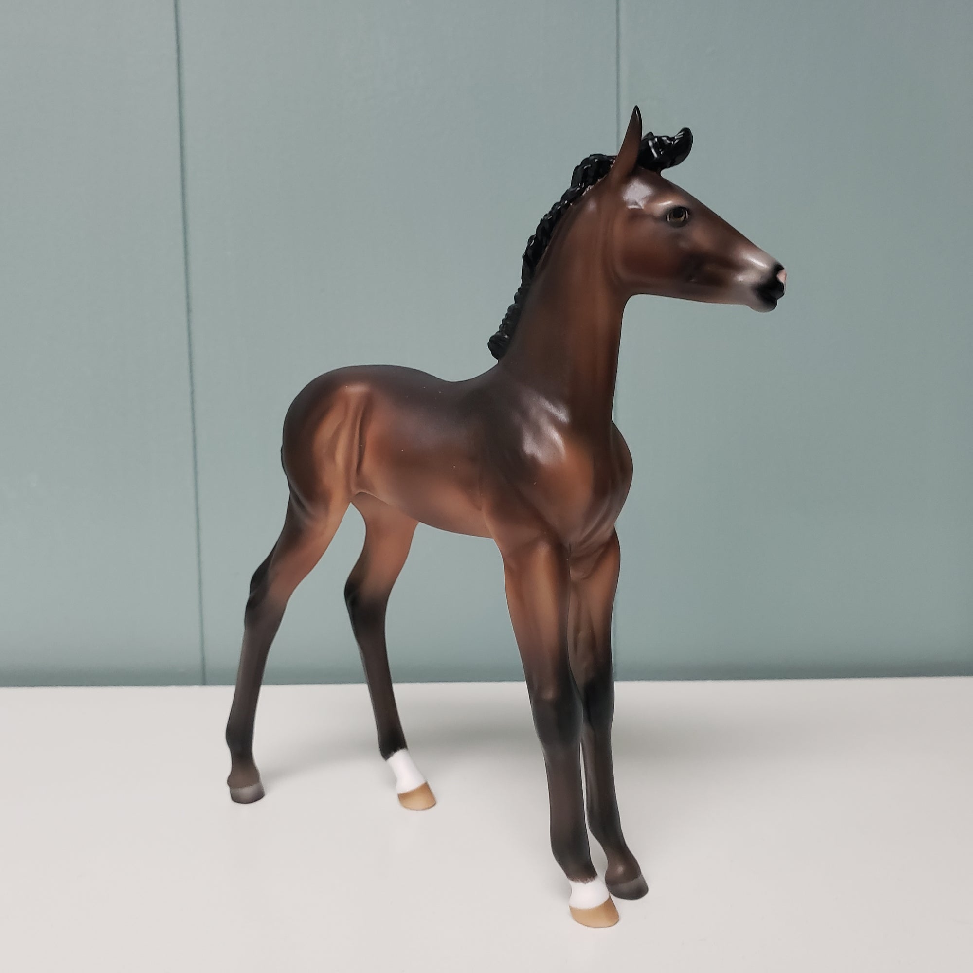 Amorcito OOAK Dark Bay Going Gray Arabian Foal By Ashley Palmer Best Offers 2/26/24