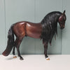 Romantico OOAK Dark Dapple Bay Andalusian Best Offers 2/26/24 By Ashley Palmer Best Offers 2/26/24