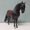 Romantico OOAK Dark Dapple Bay Andalusian Best Offers 2/26/24 By Ashley Palmer Best Offers 2/26/24