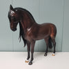 Romantico OOAK Dark Dapple Bay Andalusian Best Offers 2/26/24 By Ashley Palmer Best Offers 2/26/24