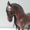 Romantico OOAK Dark Dapple Bay Andalusian Best Offers 2/26/24 By Ashley Palmer Best Offers 2/26/24