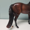 Romantico OOAK Dark Dapple Bay Andalusian Best Offers 2/26/24 By Ashley Palmer Best Offers 2/26/24