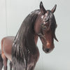 Romantico OOAK Dark Dapple Bay Andalusian Best Offers 2/26/24 By Ashley Palmer Best Offers 2/26/24