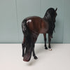 Romantico OOAK Dark Dapple Bay Andalusian Best Offers 2/26/24 By Ashley Palmer Best Offers 2/26/24