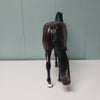 Romantico OOAK Dark Dapple Bay Andalusian Best Offers 2/26/24 By Ashley Palmer Best Offers 2/26/24