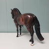 Romantico OOAK Dark Dapple Bay Andalusian Best Offers 2/26/24 By Ashley Palmer Best Offers 2/26/24