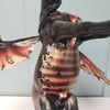 Reprehensible Rogue OOAK Dragon Wing Andalusian By Dawn Quick  Best Offers 2/26/24