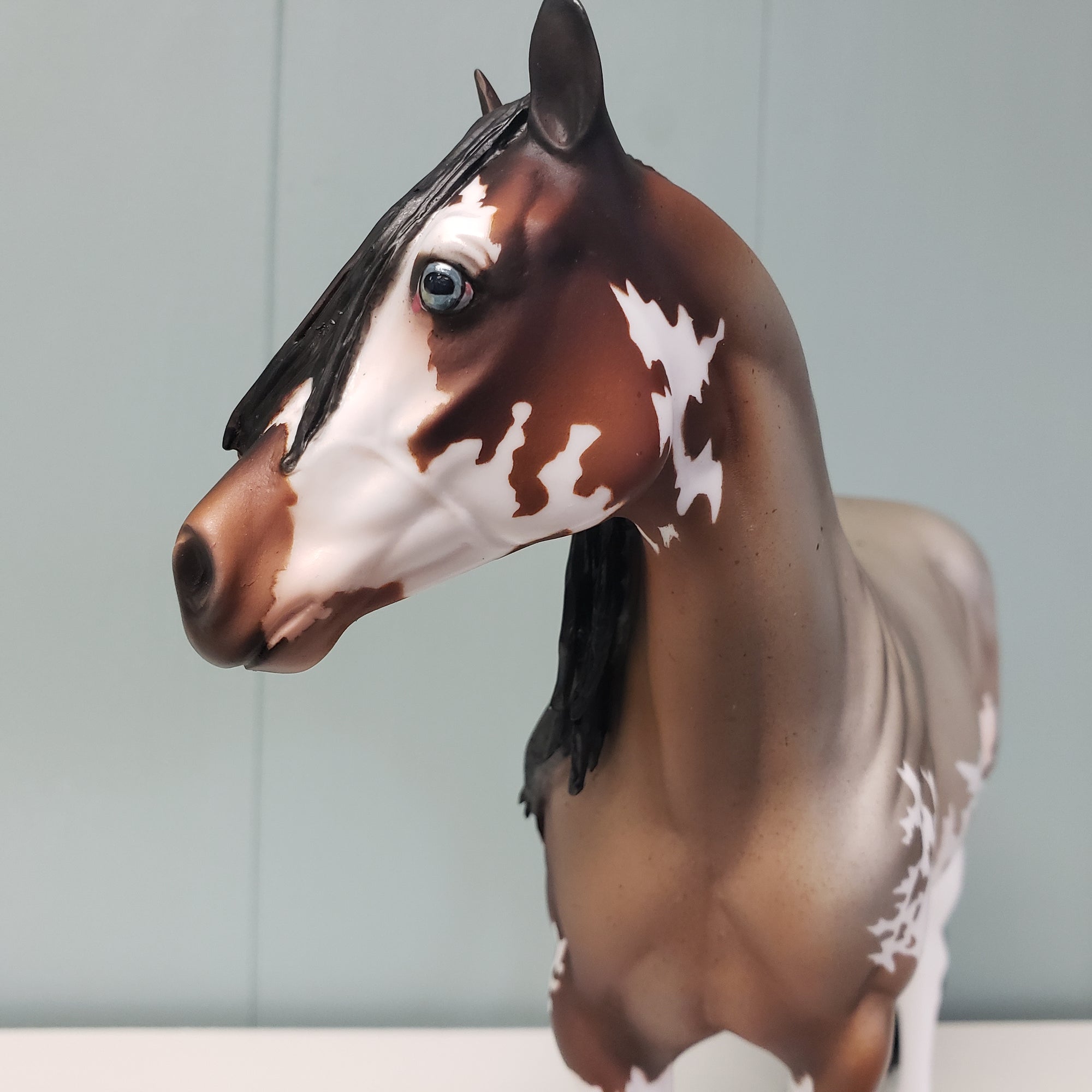 Chevalier OOAK Bay Roan Sabino ISH By Sheryl Leisure Best Offers 2/26/24