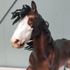 Gallant Gentleman OOAK Dapple Bay Trotting Draft By Sheryl Leisure Best Offers 2/26/24