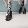 Evermore OOAK Black Leopard Appaloosa Custom Heavy Draft By Ellen Robbins Best Offer 3/19/24