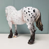 Evermore OOAK Black Leopard Appaloosa Custom Heavy Draft By Ellen Robbins Best Offer 3/19/24