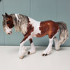 Ramsey OOAK Dappled Silver Bay Tobiano Custom Irish Cob By Jess Hamill Best Offer 3/5/24