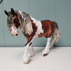 Ramsey OOAK Dappled Silver Bay Tobiano Custom Irish Cob By Jess Hamill Best Offer 3/5/24