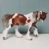 Ramsey OOAK Dappled Silver Bay Tobiano Custom Irish Cob By Jess Hamill Best Offer 3/5/24