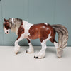 Ramsey OOAK Dappled Silver Bay Tobiano Custom Irish Cob By Jess Hamill Best Offer 3/5/24