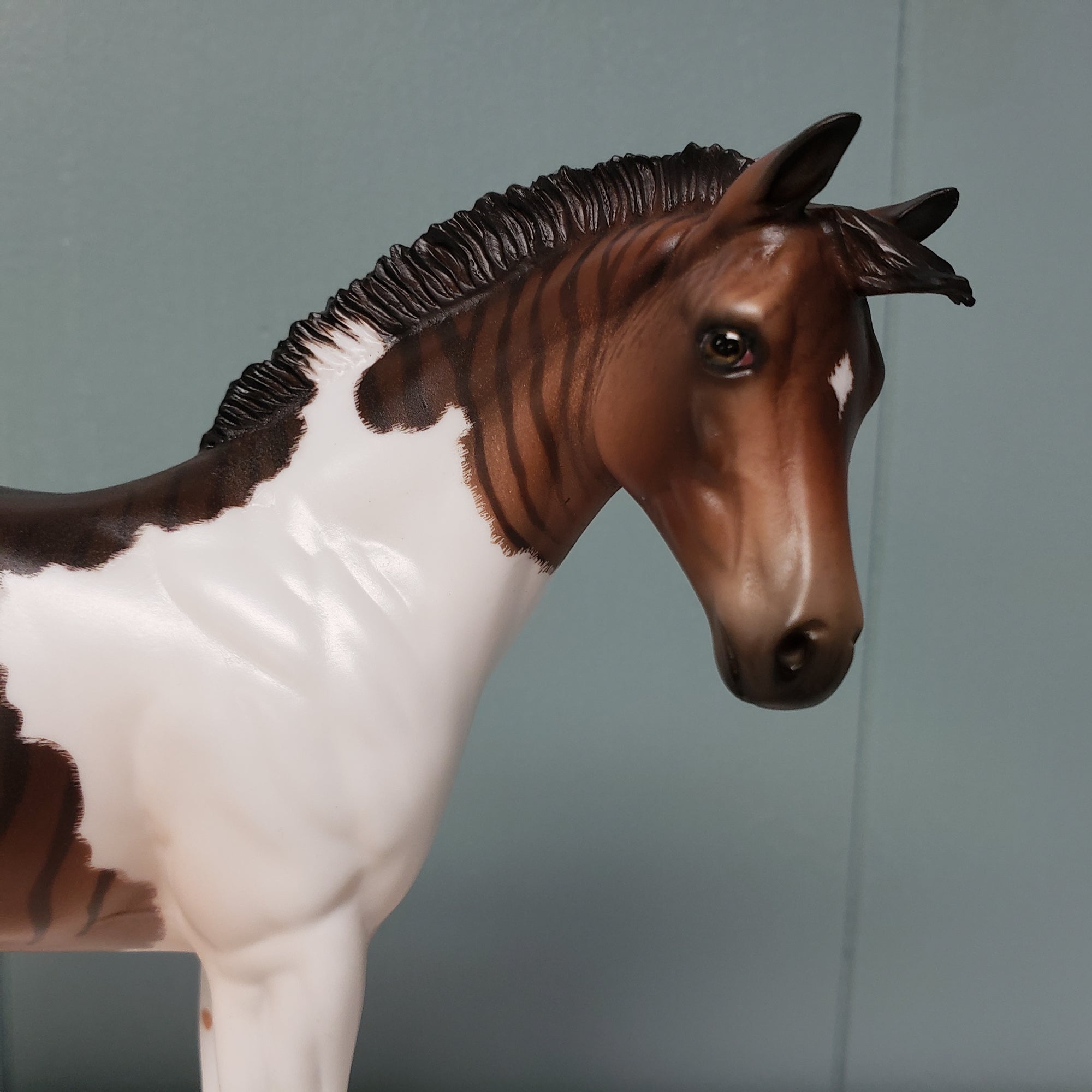 Mergo OOAK Zebroid Hybrid Custom Weanling By Jess Hamill Best Offer 3/5/24