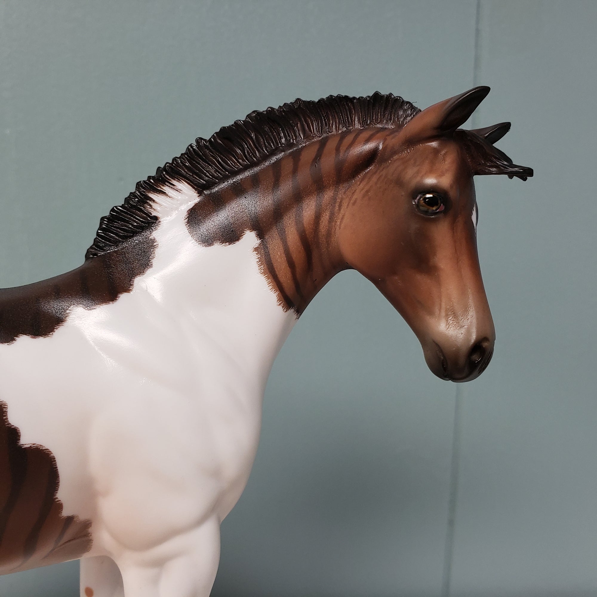 Mergo OOAK Zebroid Hybrid Custom Weanling By Jess Hamill Best Offer 3/5/24