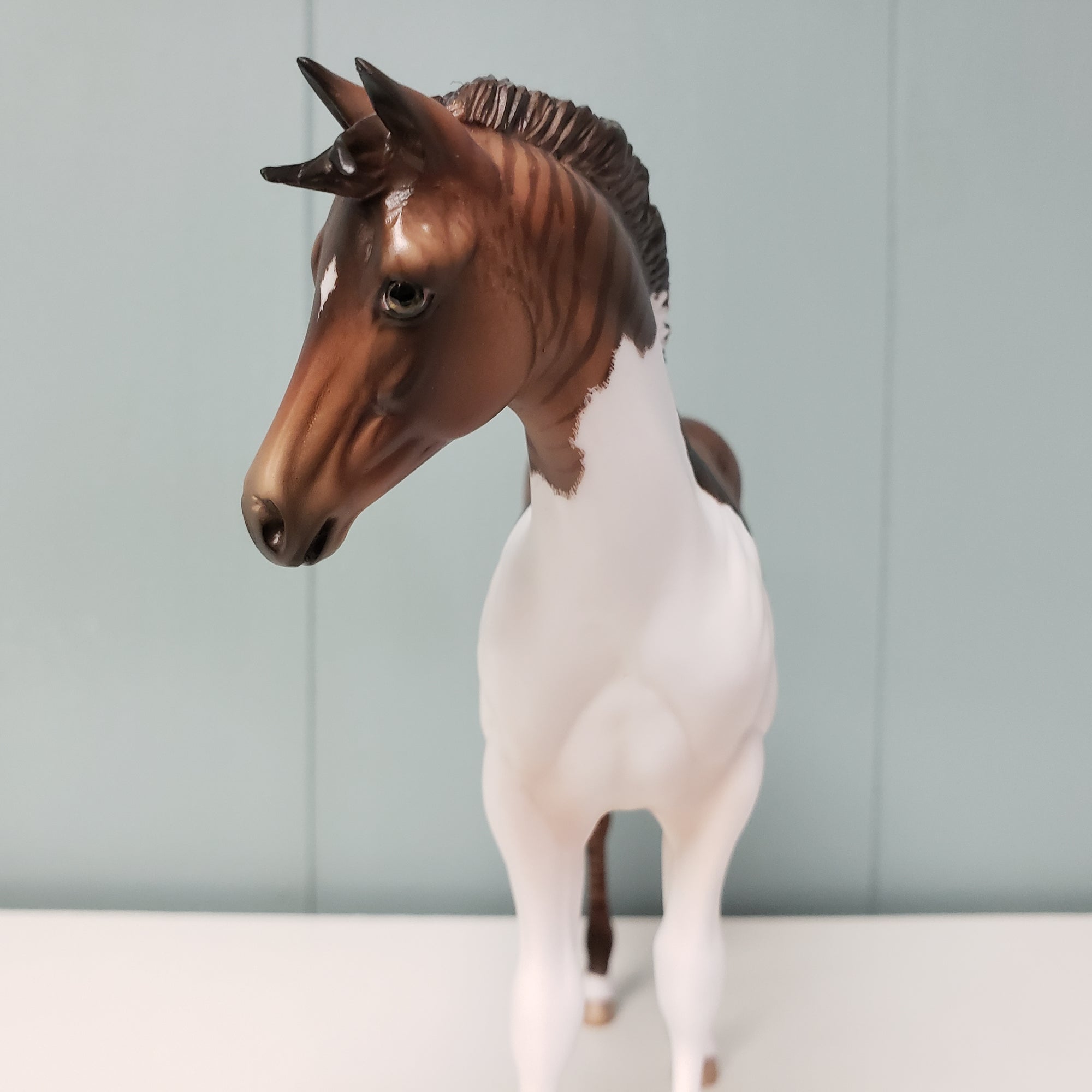 Mergo OOAK Zebroid Hybrid Custom Weanling By Jess Hamill Best Offer 3/5/24