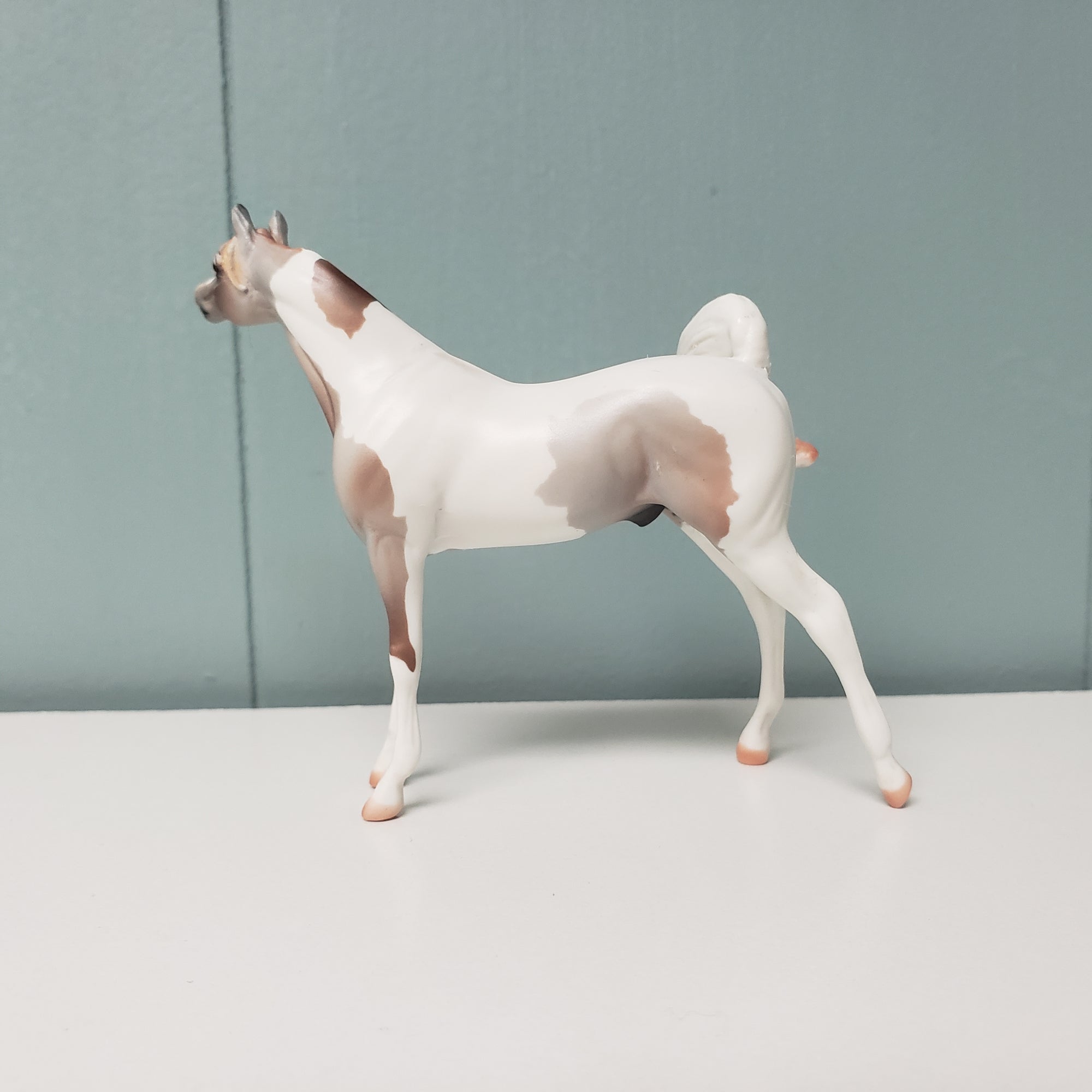 SAMPLE of Zodiac 2007 Factory Custom Arabian Chip SAMPLE &amp; OOAK SALE MARCH 2024