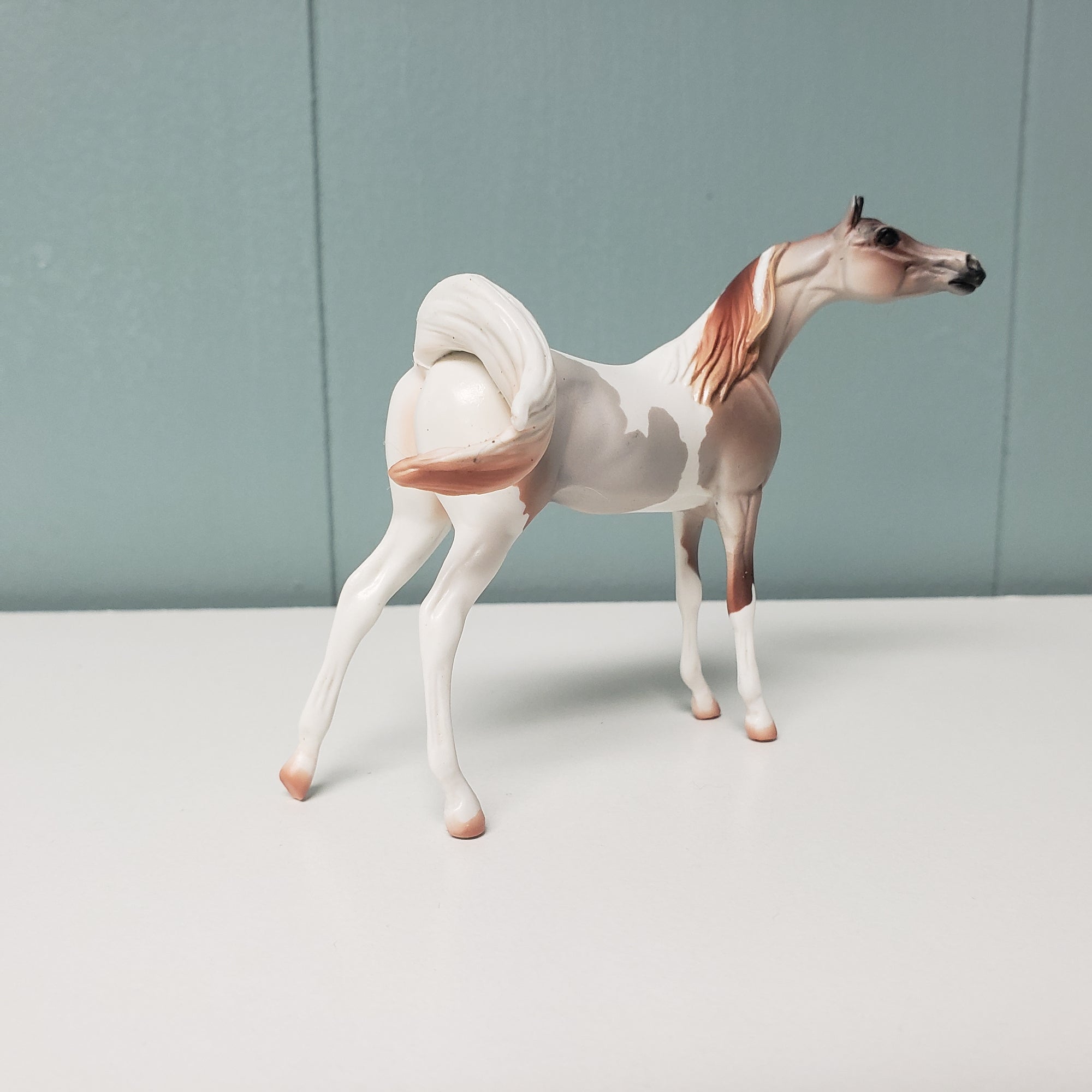 SAMPLE of Zodiac 2007 Factory Custom Arabian Chip SAMPLE &amp; OOAK SALE MARCH 2024