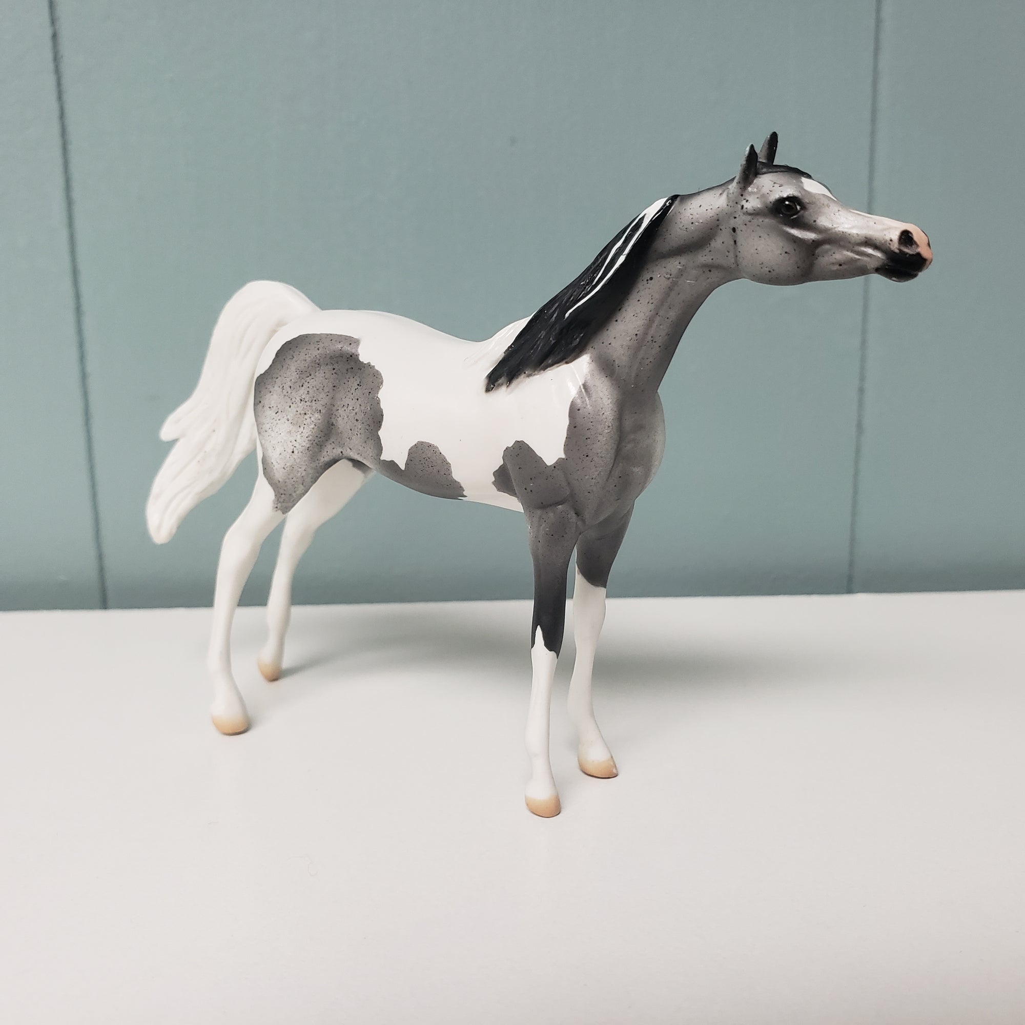 SAMPLE Mini Me I&#39;m Tomouz 2007 Factory NON Custom Arabian Chip SAMPLE &amp; OOAK SALE MARCH 2024