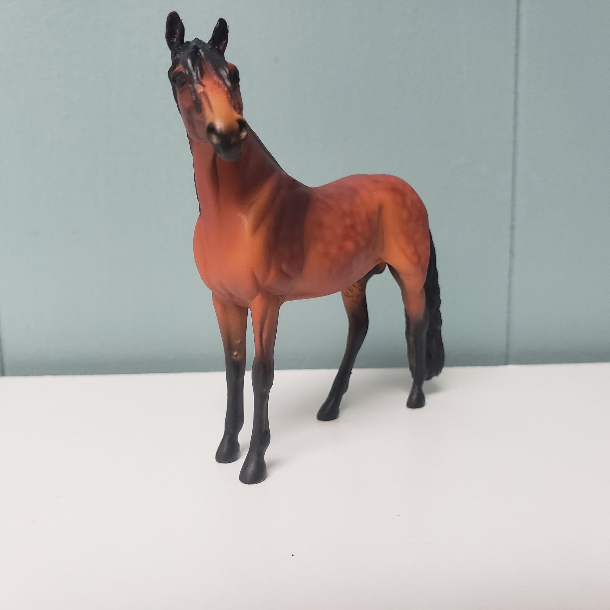 SAMPLE Alejandro 2007 Custom Andalusian Chip SAMPLE &amp; OOAK SALE MARCH 2024