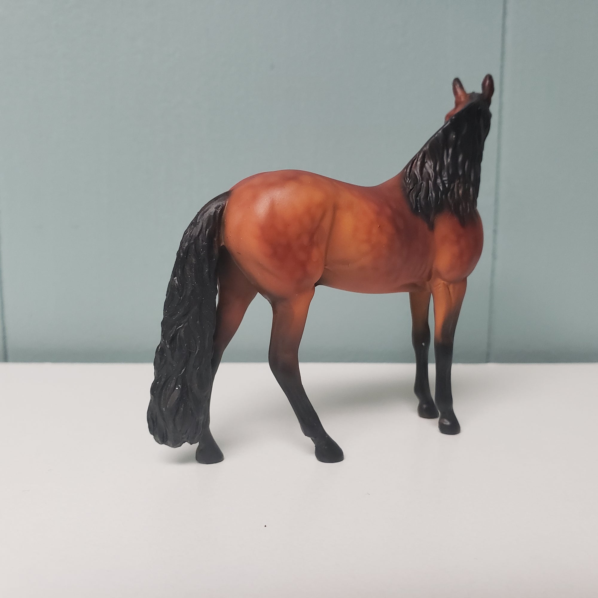 SAMPLE Alejandro 2007 Custom Andalusian Chip SAMPLE &amp; OOAK SALE MARCH 2024