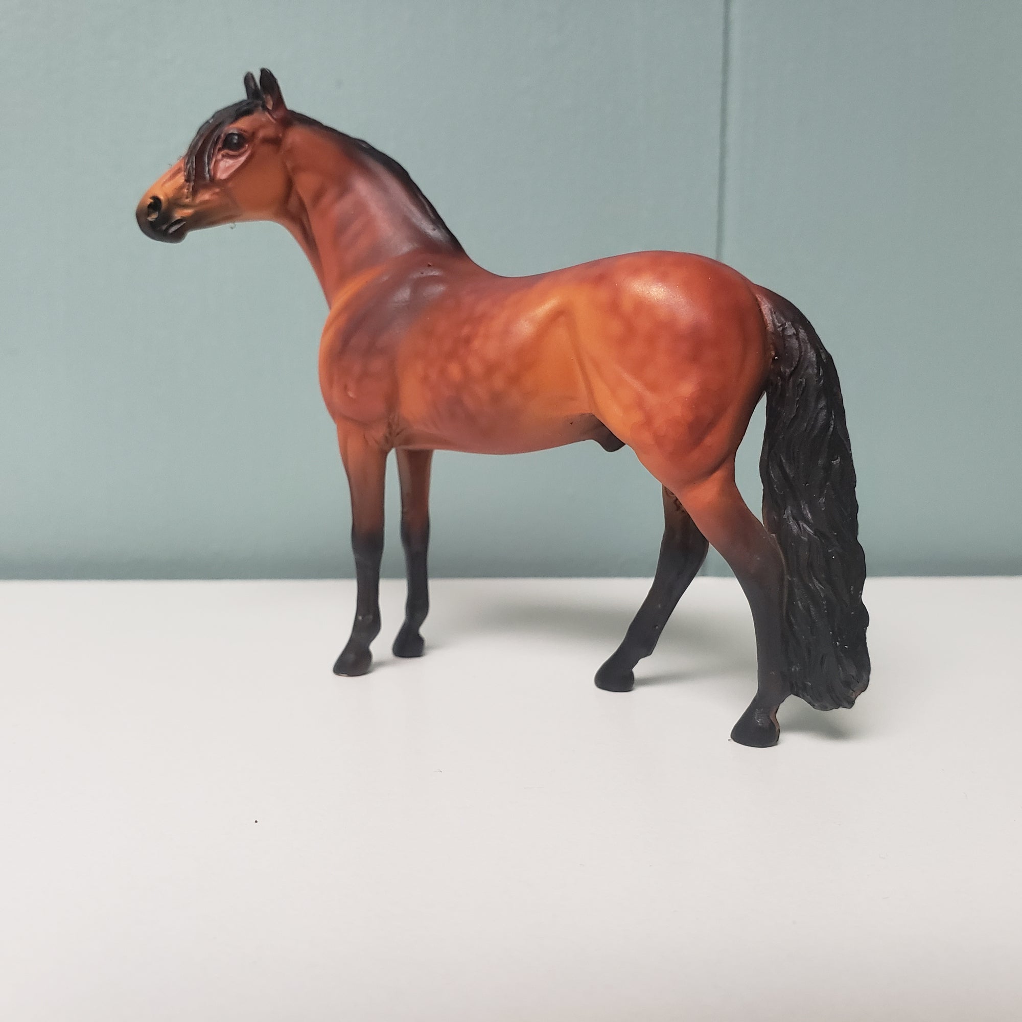 SAMPLE Alejandro 2007 Custom Andalusian Chip SAMPLE &amp; OOAK SALE MARCH 2024