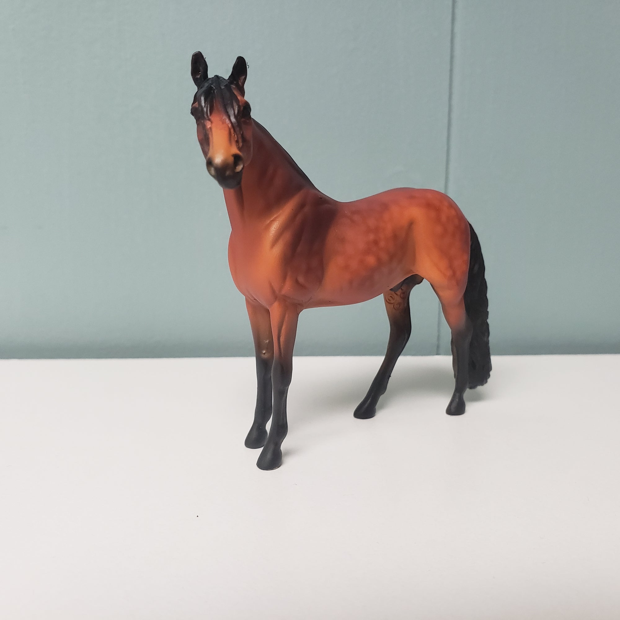 SAMPLE Alejandro 2007 Custom Andalusian Chip SAMPLE &amp; OOAK SALE MARCH 2024