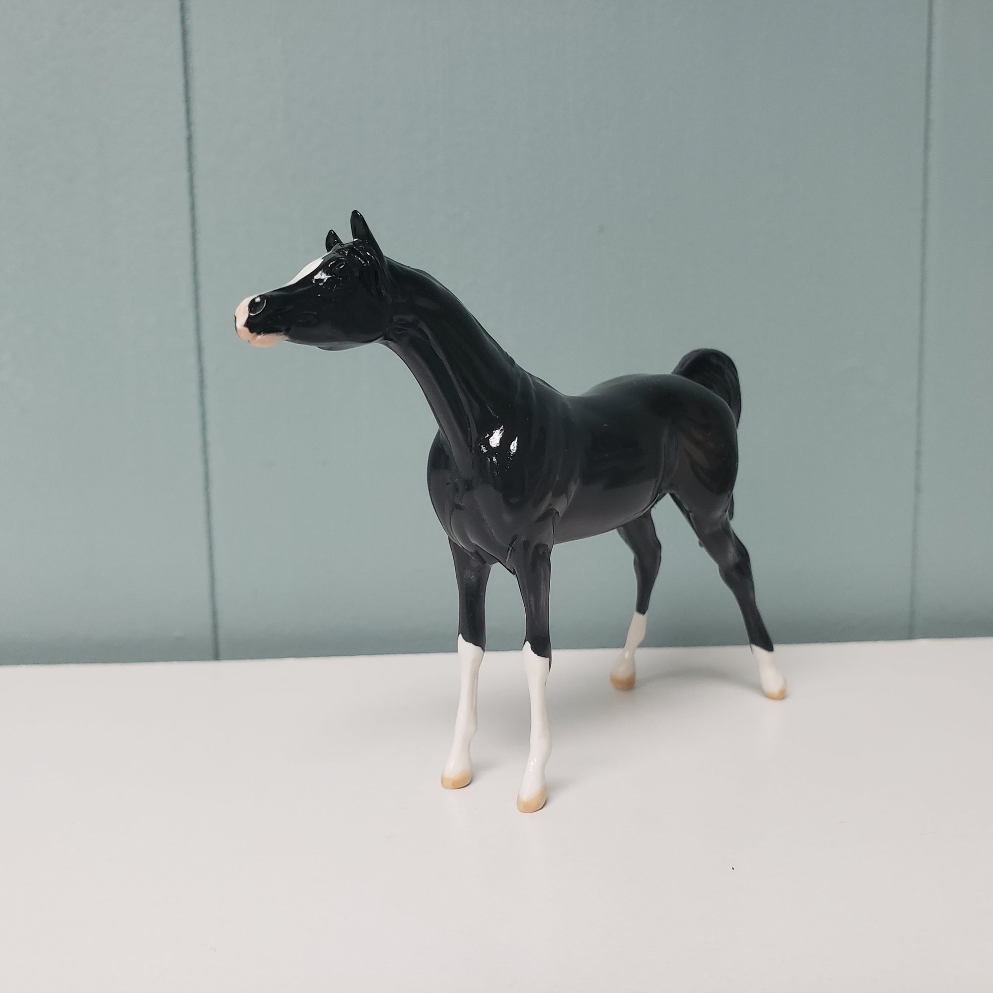 Sample Rijah 2007 GLOSSY SAMPLE Arabian Chip SAMPLE &amp; OOAK SALE MARCH 2024