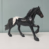 SAMPLE of Thunder 2008 Appaloosa Friesian Chip SAMPLE &amp; OOAK SALE MARCH 2024