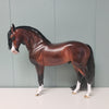 Mercer OOAK Dappled Bay Custom Andalusian by Sheryl Leisure - Best Offers 3/13/24