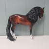 Mercer OOAK Dappled Bay Custom Andalusian by Sheryl Leisure - Best Offers 3/13/24