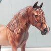 Ada OOAK Red Roan Heavy Draft By Angela Marleau - Best Offers 4/9/24