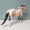 Sandy Zip OOAK Buckskin Tobiano Pintaloosa ISH by Ellen Robbins - Best Offers 4/9/24