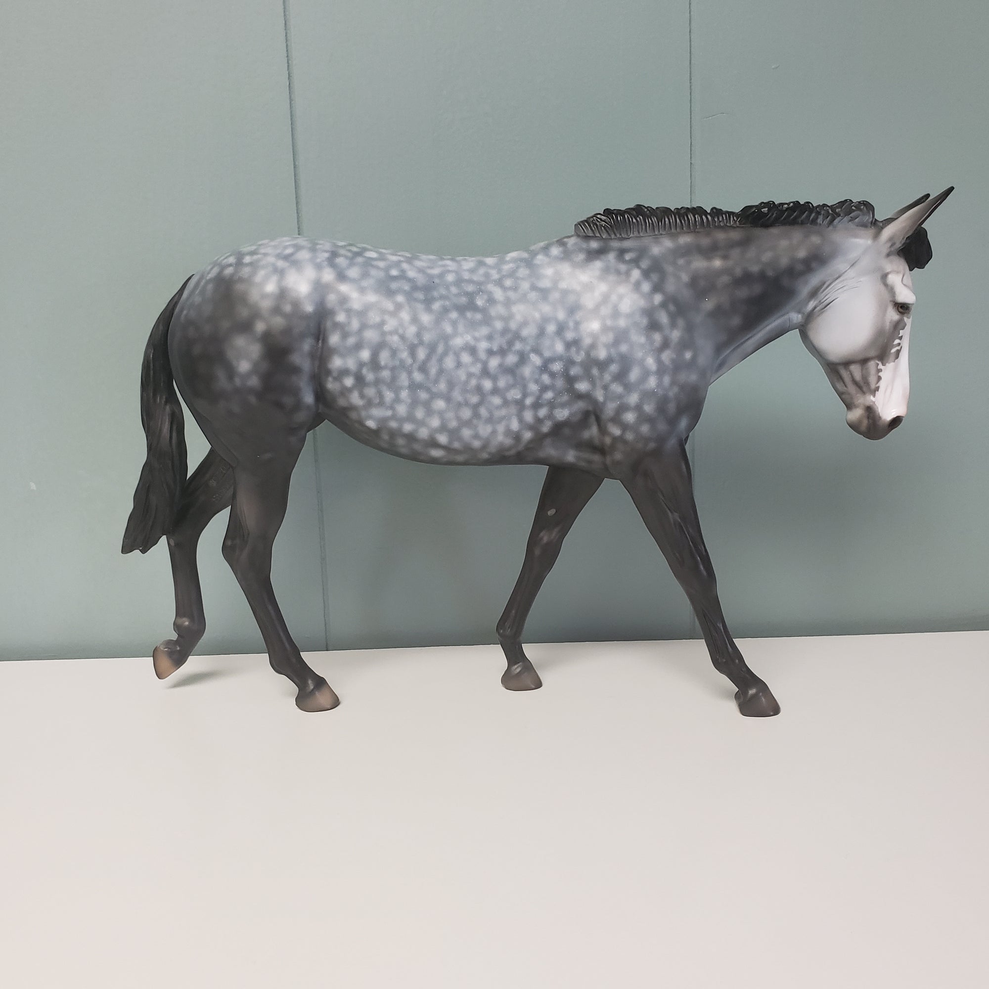 Paloma OOAK Star Dappled Grey Mule by Dawn Quick  - SHCF24