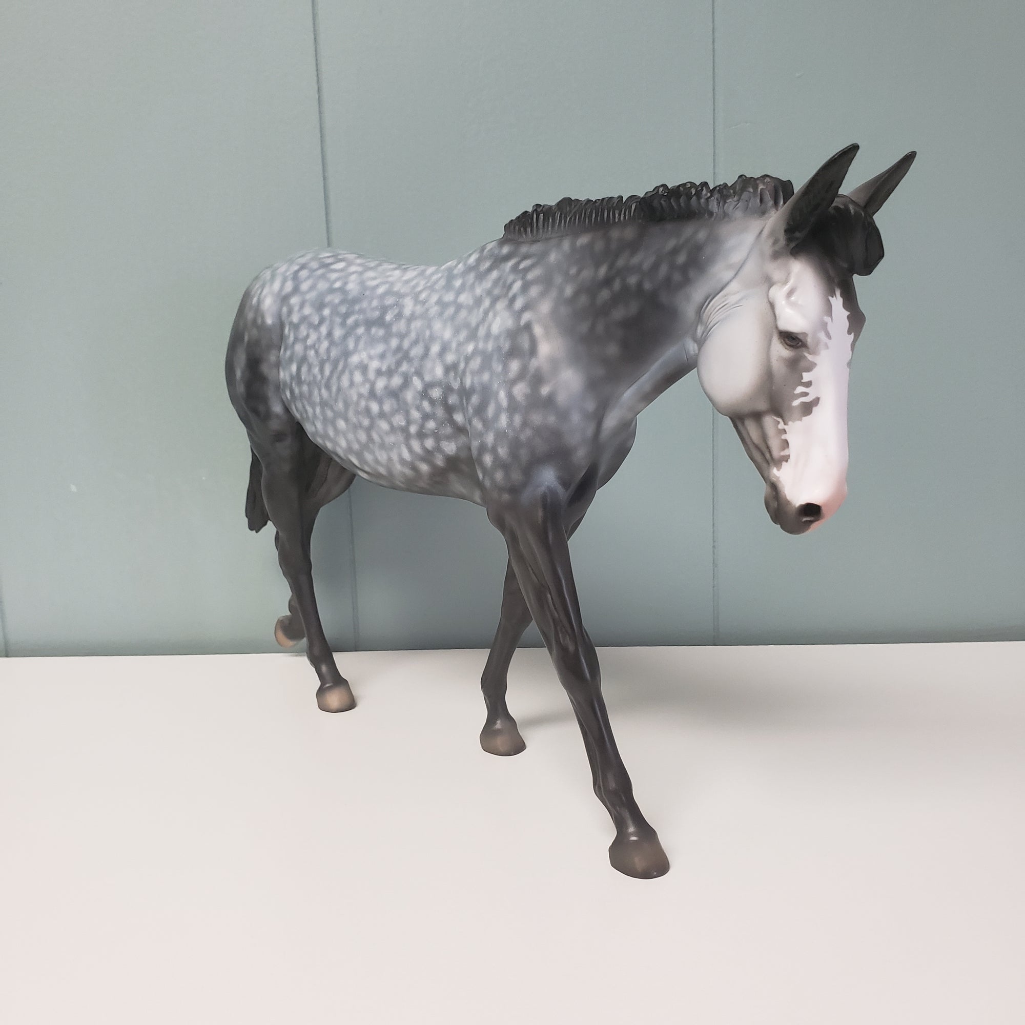 Paloma OOAK Star Dappled Grey Mule by Dawn Quick  - SHCF24