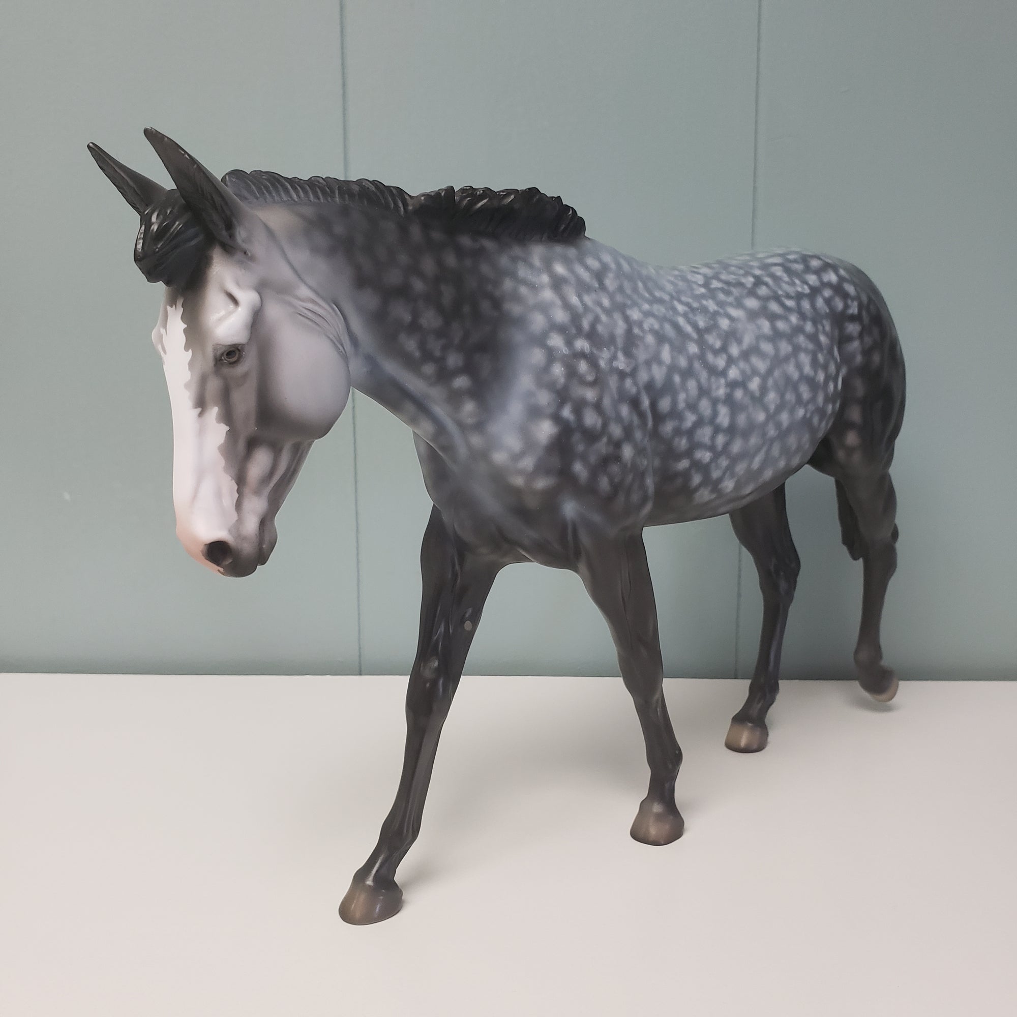 Paloma OOAK Star Dappled Grey Mule by Dawn Quick  - SHCF24