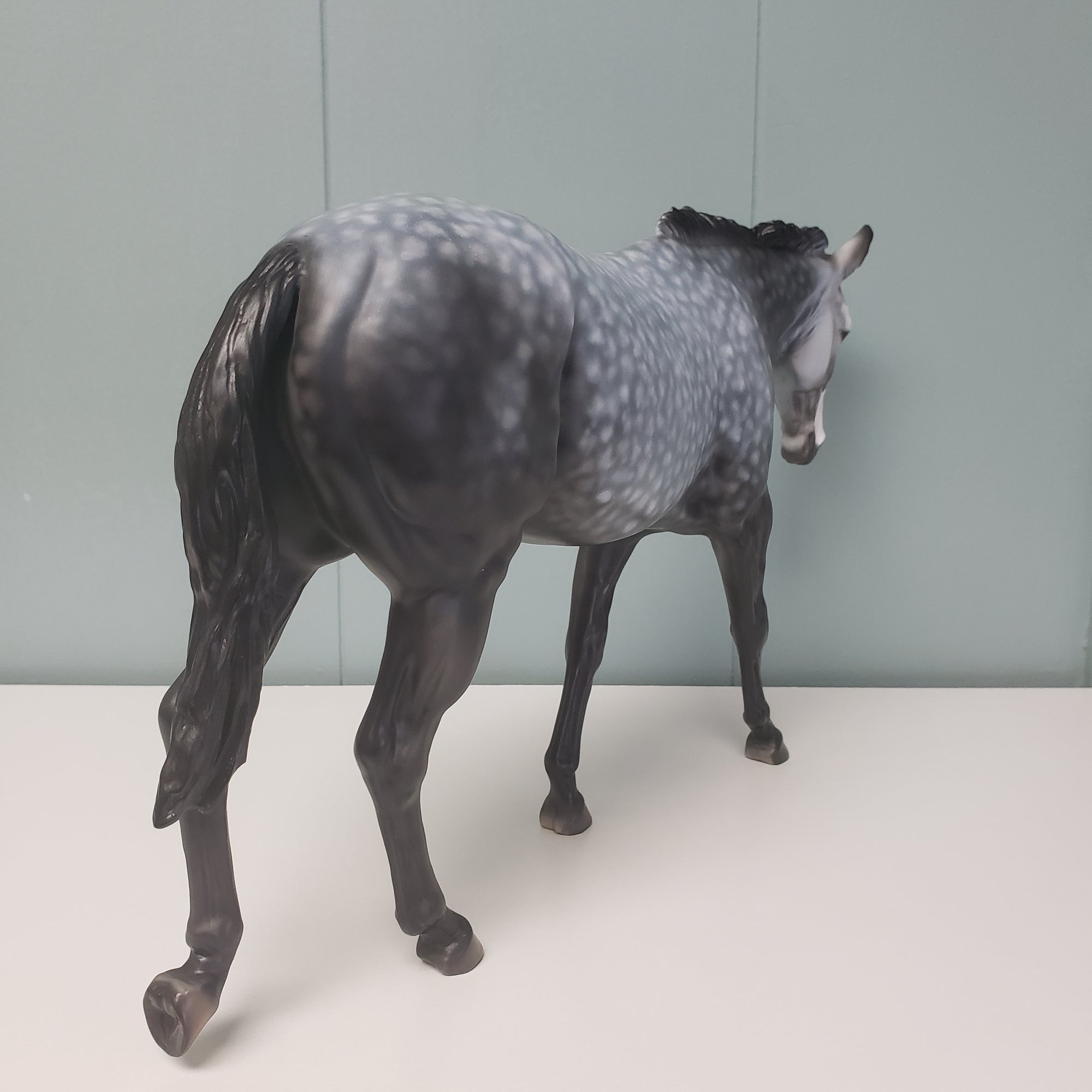 Paloma OOAK Star Dappled Grey Mule by Dawn Quick  - SHCF24