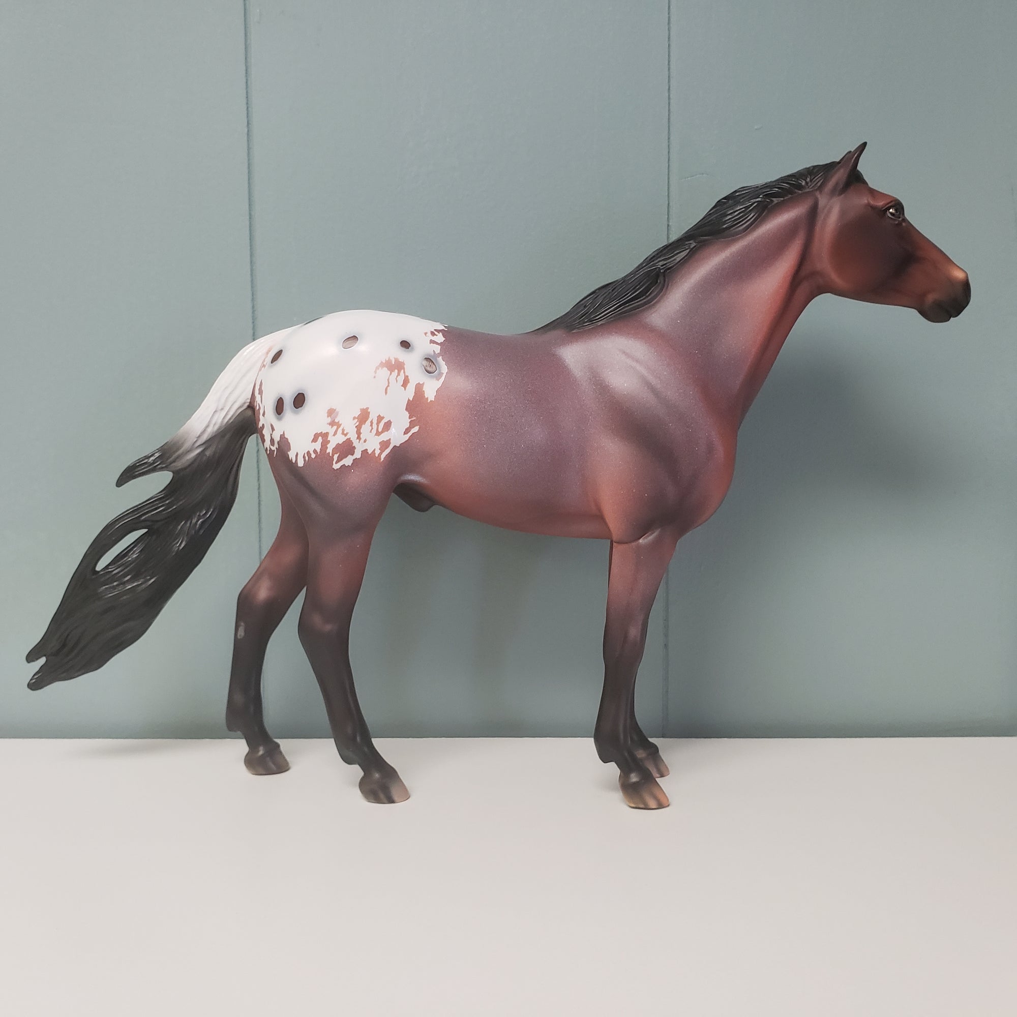 Niam OOAK Appaloosa Mustang by Dawn Quick  - SHCF24