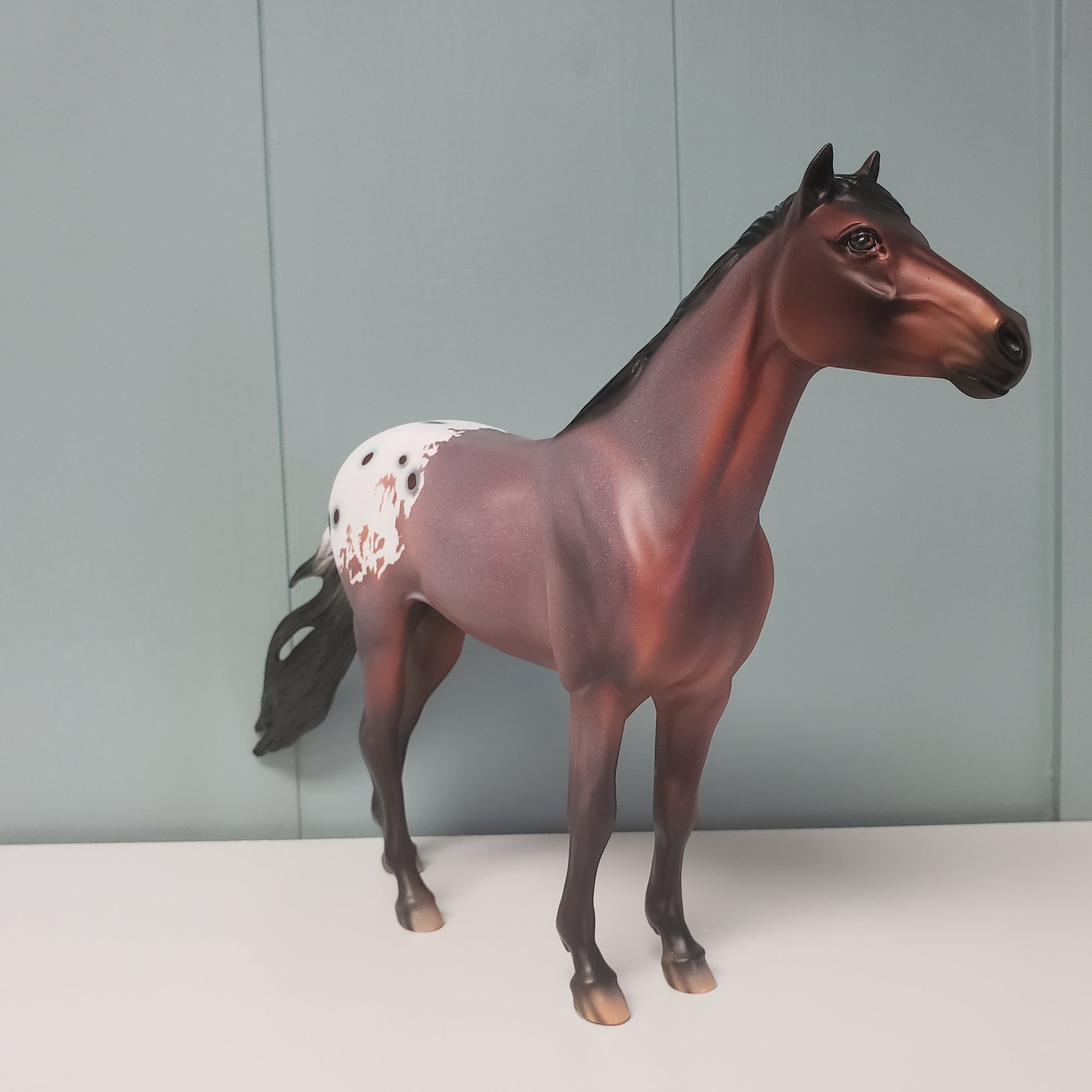 Niam OOAK Appaloosa Mustang by Dawn Quick  - SHCF24