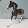 Minnow OOAK Bay Tobiano Arab Yearling By Angela Marleau Best Offers 3/26/24