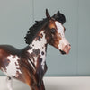 Minnow OOAK Bay Tobiano Arab Yearling By Angela Marleau Best Offers 3/26/24