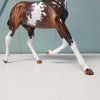 Minnow OOAK Bay Tobiano Arab Yearling By Angela Marleau Best Offers 3/26/24