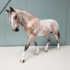 Ballentine OOAK Bay Appaloosa Irish Draft By Sheryl Leisure Best Offers 3/19/24