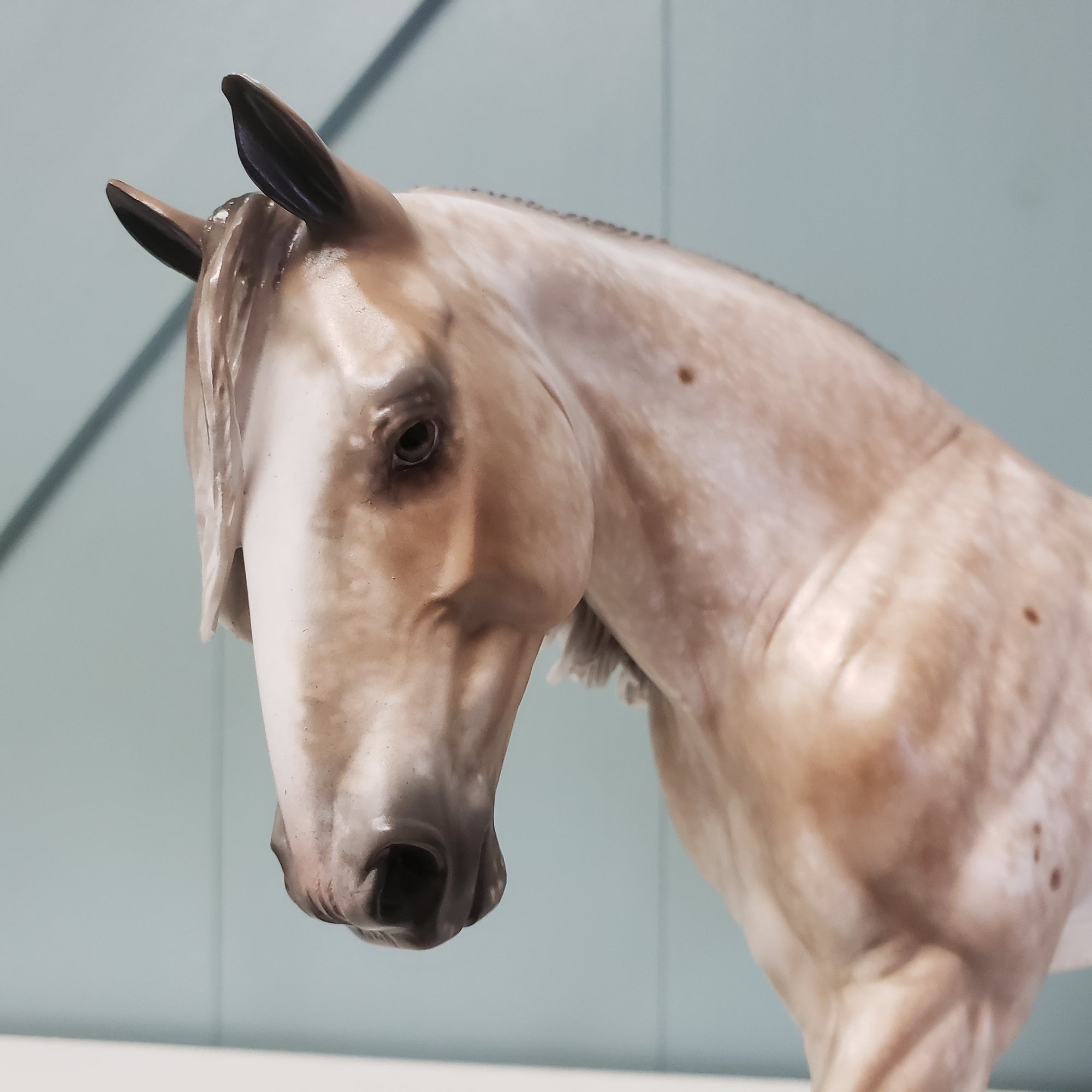 Ballentine OOAK Bay Appaloosa Irish Draught By Sheryl Leisure Best Offers 3/19/24