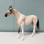 Beekeeper OOAK Buckskin Thoroughbred Chip By Jess Hamill SAMPLE & OOAK SALE MARCH 2024 SS324