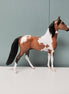 Bookbinder OOAK Bay Morgan Chip By Jess Hamill SAMPLE & OOAK SALE MARCH 2024 SS324