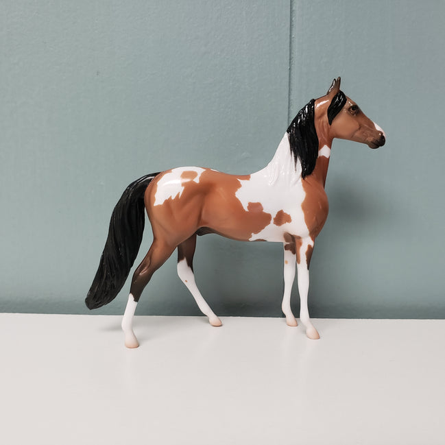 Bookbinder OOAK Bay Morgan Chip By Jess Hamill SAMPLE & OOAK SALE MARCH 2024 SS324