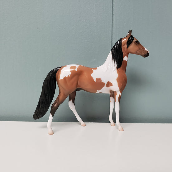 Bookbinder OOAK Bay Morgan Chip By Jess Hamill SAMPLE & OOAK SALE MARCH 2024 SS324